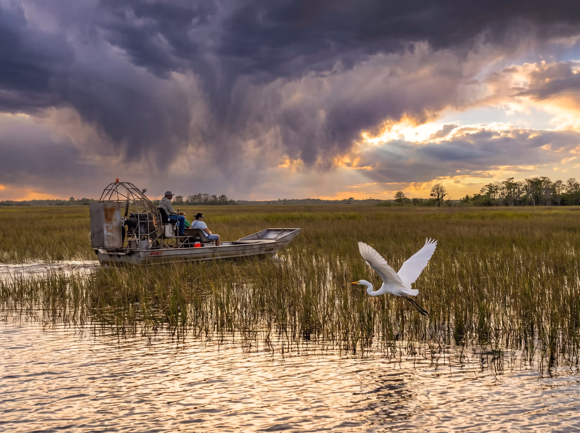 Pradaria alagada do Everglades com capim de serra e ilhas de árvores sob céu de fim de tarde